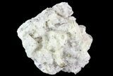 Quartz, Fluorite and Pyrite Crystal Association - Morocco #82790-1